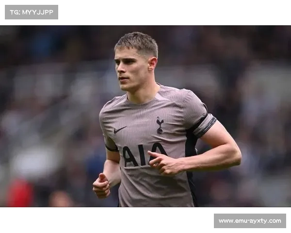 热刺3-0客胜埃弗顿,范德文双响建功